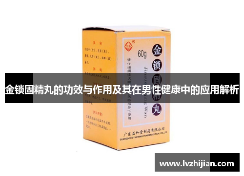 金锁固精丸的功效与作用及其在男性健康中的应用解析
